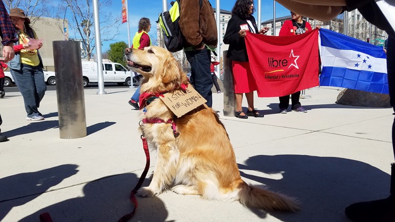 This protester was a very good boy. (Photo by Vicente Serna)